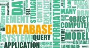 Data Analyst / Database Developer — Secrets To Shine